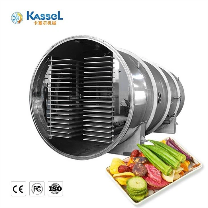 Vacuum Freeze Dryer factory